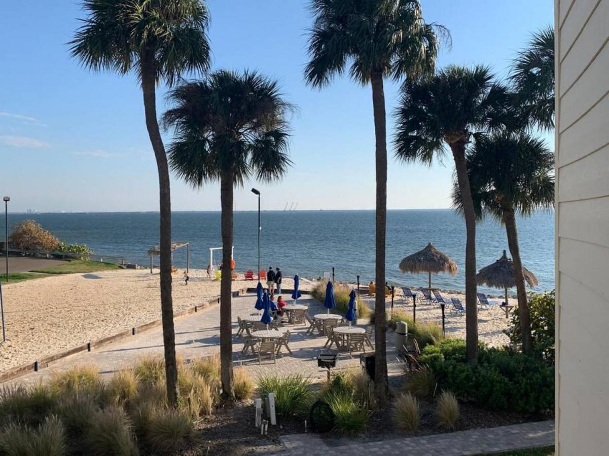Bay Views From Your Balcony Beach Resort Tampa Zewnętrze zdjęcie